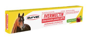 Durvet Apple Flavored Ivermectin Dewormer Paste for Horses, 0.21 oz (6.08g)