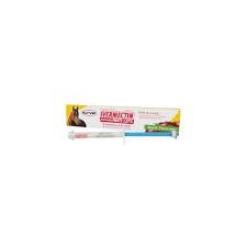 Durvet Apple Flavored Ivermectin Dewormer Paste for Horses, 0.21 oz (6.08g)