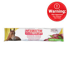 Durvet Apple Flavored Ivermectin Dewormer Paste for Horses, 0.21 oz (6.08g)