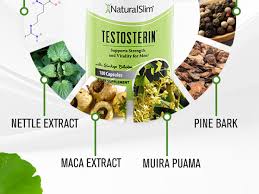 NaturalSlim Testosterin Men's Testosterone Booster and Daily Multivitamin - 180 Count