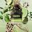 Born In Roma Uomo Green Stravaganza by Valentino | Men's EDT Spray (100ml)